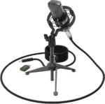 Микрофон RITMIX RDM-160 Черный