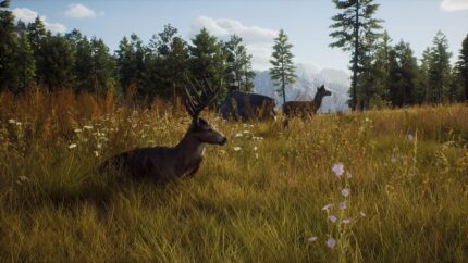 Игра для ps5 way of the hunter standard edition (Русские субтитры)