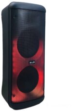 Колонка портативная ELTRONIC 20-55 Wave 800 с микрофоном чёрный — изображение 3