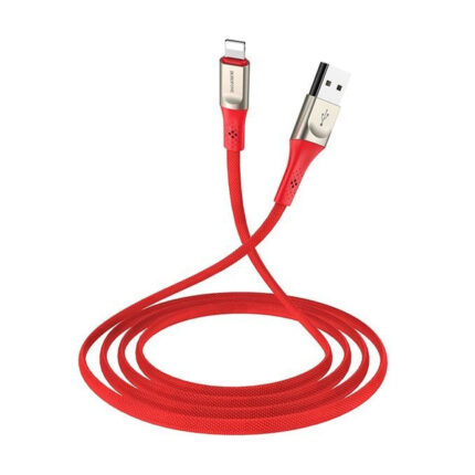 Дата-кабель Borofone BU17 USB/USB-C 1.2м красный